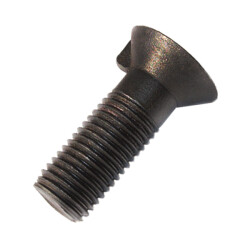 Din 604 Plow Bolt